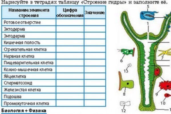 Kraken это