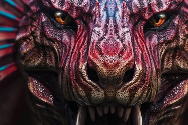 Kraken 18at