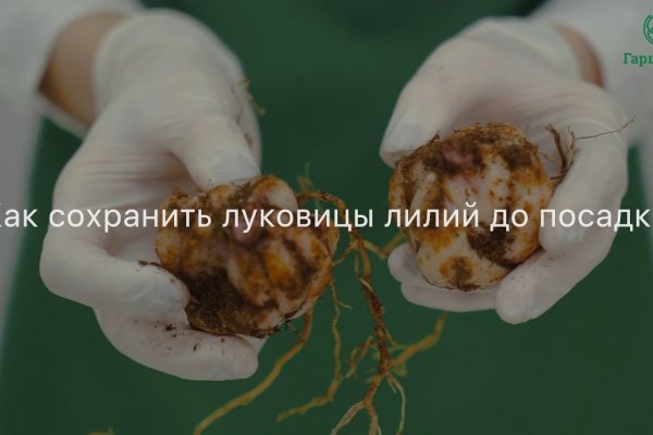 Как войти на сайт кракен