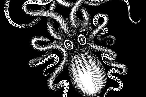 Кракен актуальная ссылка kraken torion net