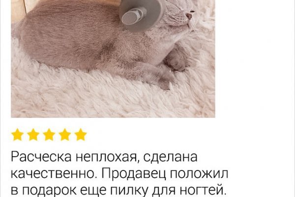 Ссылки на дарк нет