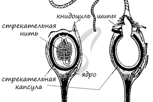 Кракен тор ссылка онлайн