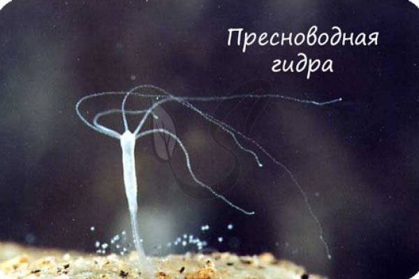 Как войти в супернет