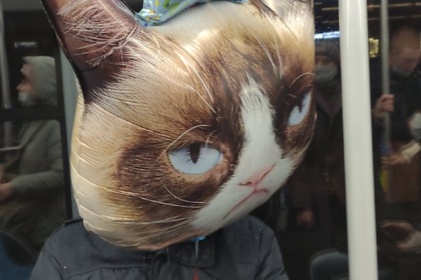 Как купить наркотик в кракен