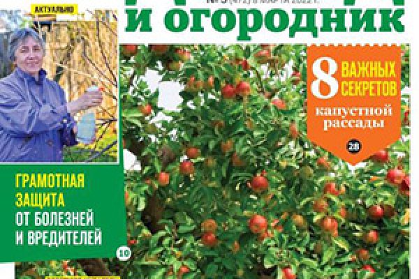 Kraken tor onion зеркало