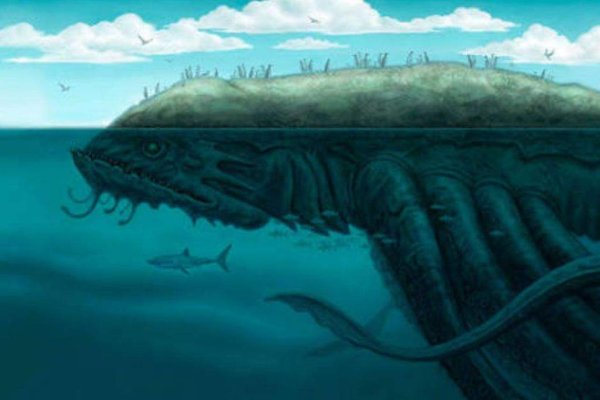 Kraken whitenet market зеркало